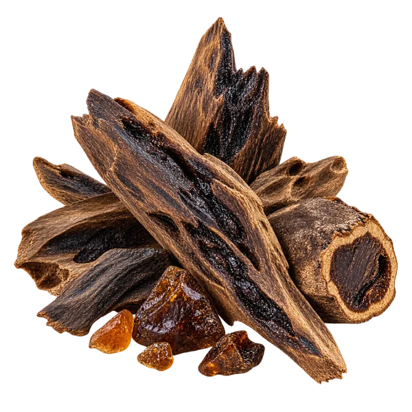 Oud (Agarwood)
