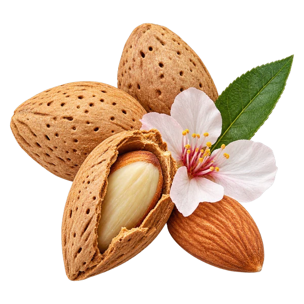 Amêndoa Amarga
