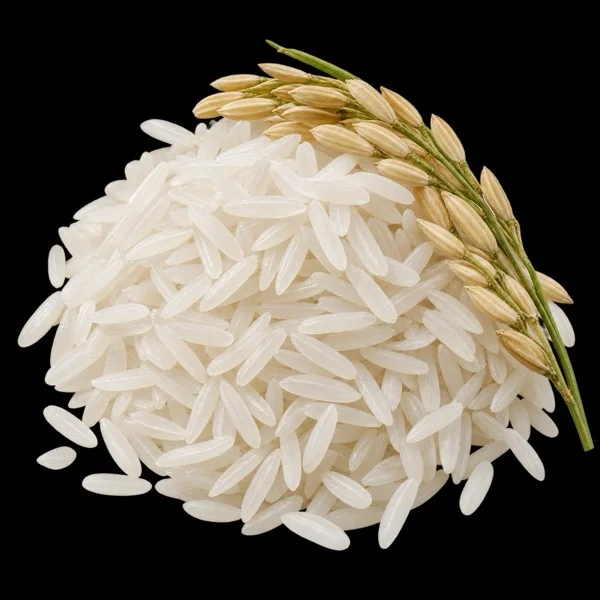 Arroz
