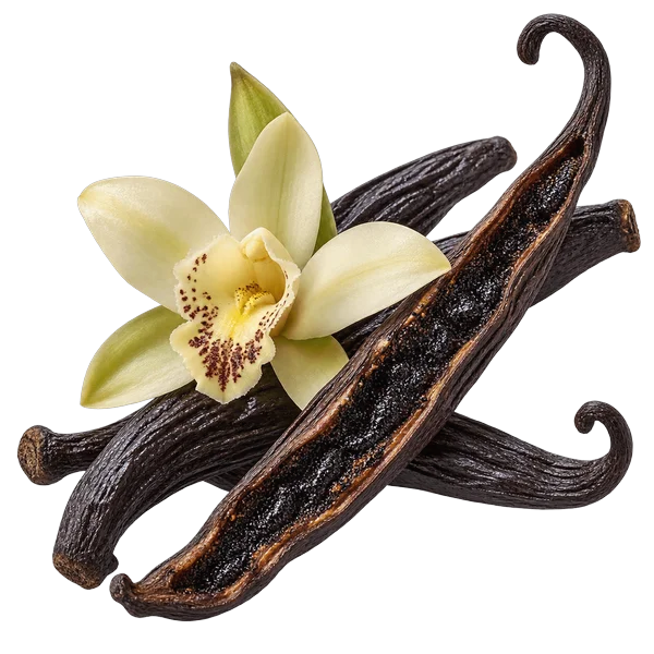 Baunilha do Tahiti