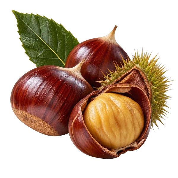 Castanha