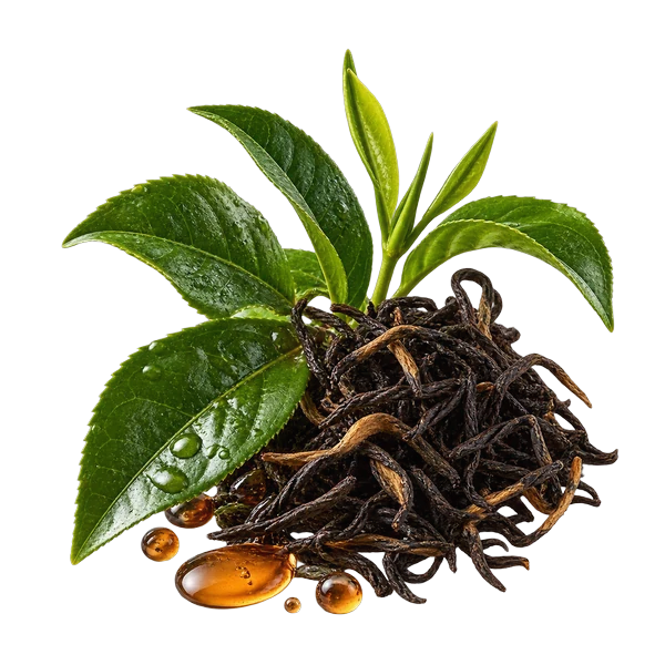 Chá