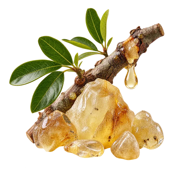 Elemi