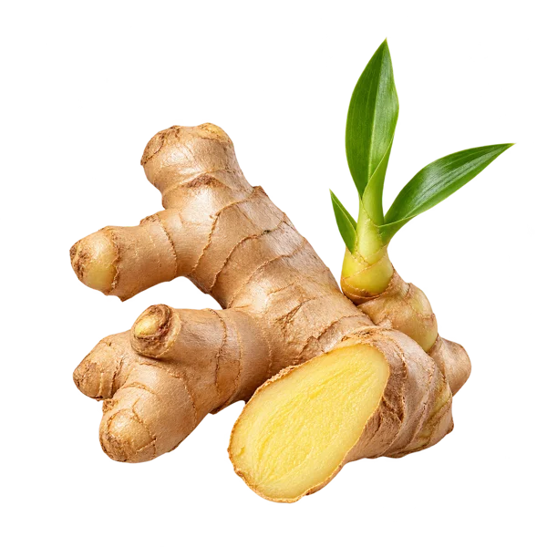 Gengibre