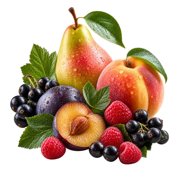 Notas Frutadas