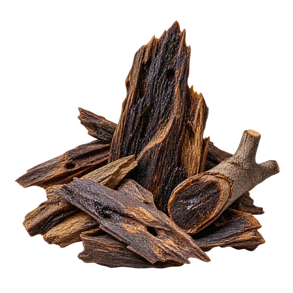 Oud